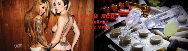 прущие грибы Бородино