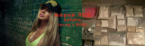 прущие грибы Бородино