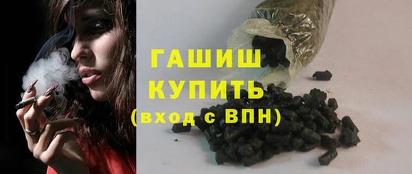 прущие грибы Бородино