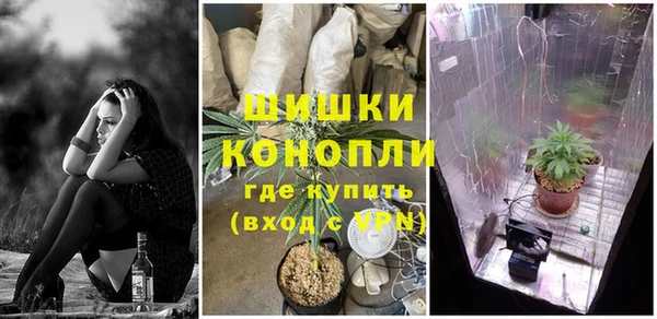 прущие грибы Бородино