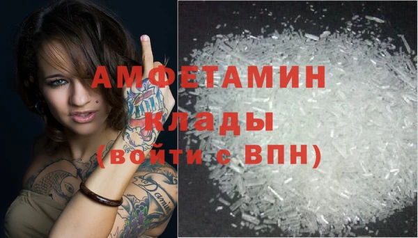 прущие грибы Бородино