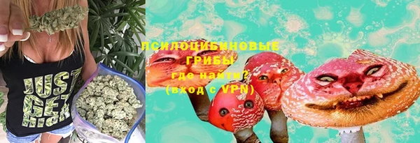 mdpv Бронницы