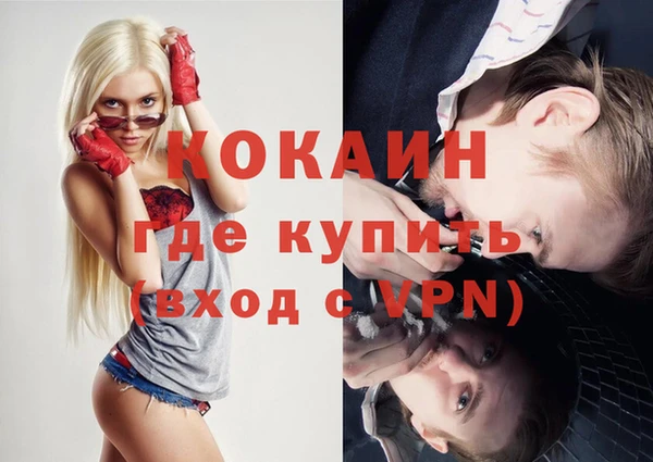 прущие грибы Бородино