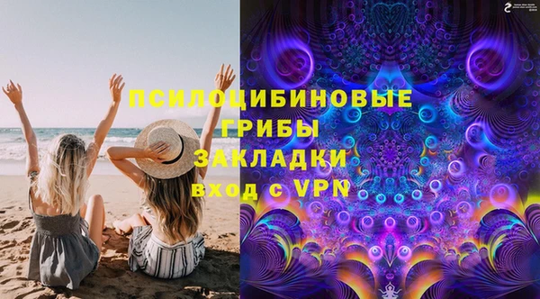 прущие грибы Бородино