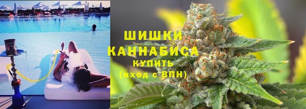 прущие грибы Бородино