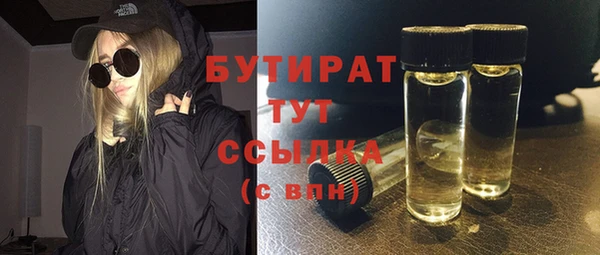 прущие грибы Бородино