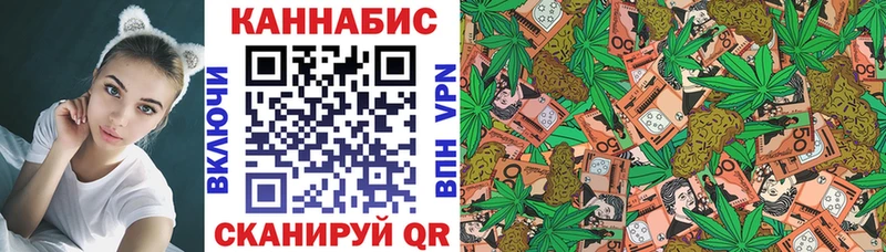 купить   Ковдор  Бошки марихуана план 